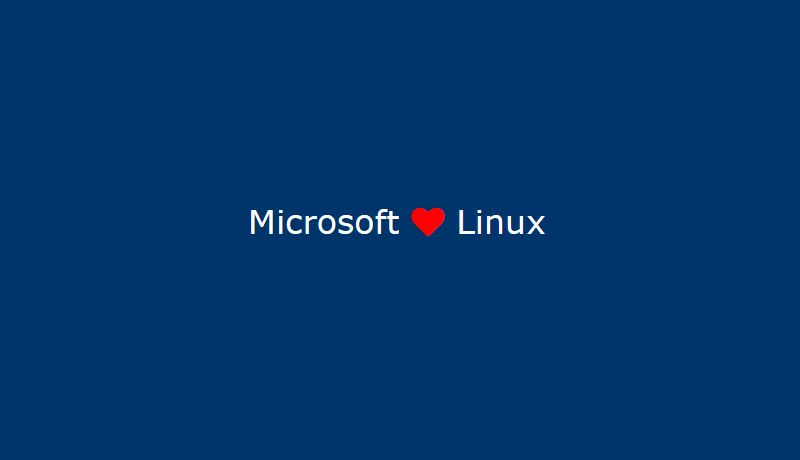 Running Graphical Applications under Linux on Windows